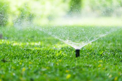 Lawn with Sprinkler System