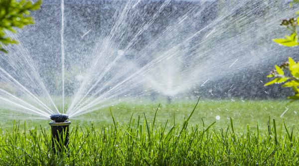 Grass Sprinkler Repair